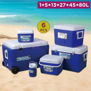 Set of 6 Insulated Cooler Box