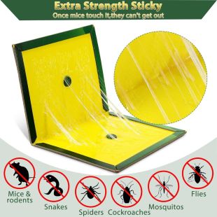 Mouse Glue Traps 2 Pieces