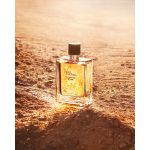 Hermes Terre D'Hermes Eau Intense Vetiver 100ml EDP For Men